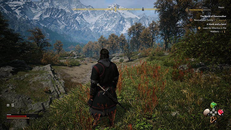 The Blood of Dawnwalker PC review