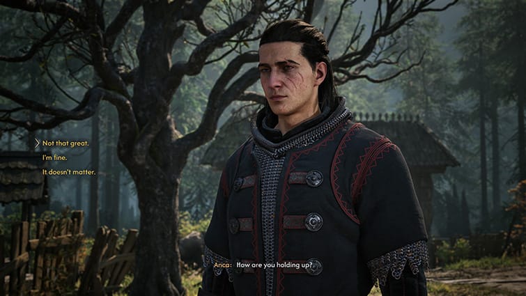 The Blood of Dawnwalker PC review